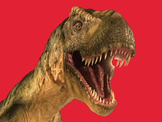 The head of a T-Rex exhibit