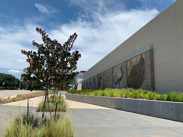 The fossil wall facing Royal Lane