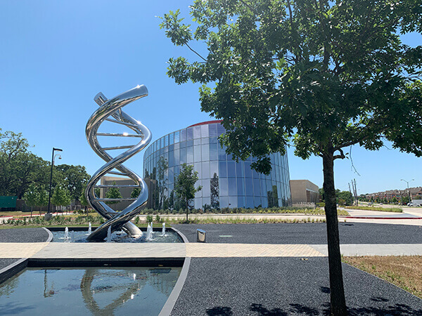 DNA Sculpture