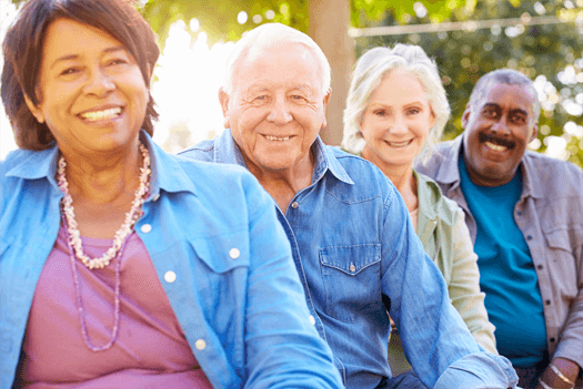 A group of Senior adults