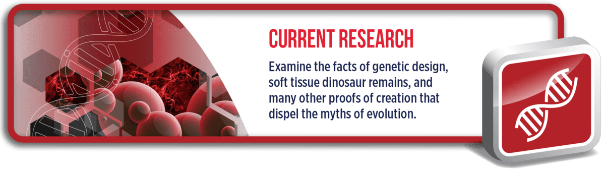Current Research: Examine the facts of genetic design, soft tissue dinosaur remains, and many other proofs of creation that dispel the myths of evolution.