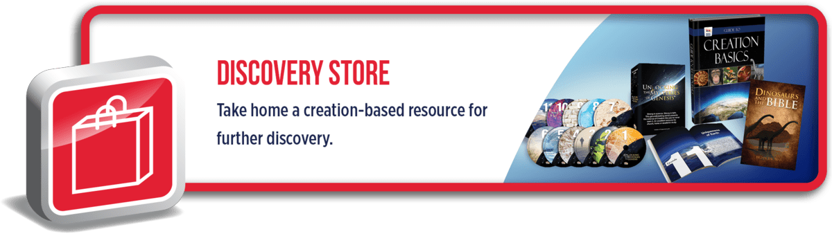 Discovery Store: Take home a creation-based resource for further discovery.