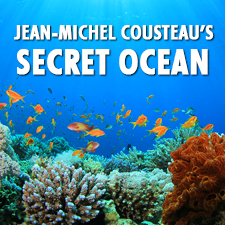Secret Ocean 3D Planetarium teaser image